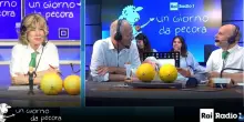 Caso Minetti, Gomez: &ldquo;Mai vista un&rsquo;indagine per stabilire se qualcuno ha detto il vero e poi non viene interrogato&rdquo;