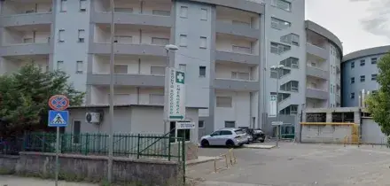 Accoltellata e strangolata a Castrovillari: salvata da un amico. 30enne arrestato per tentato femminicidio