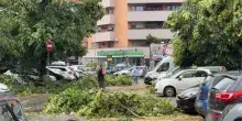 Una tromba d&rsquo;aria si abbatte su Roma: decine di alberi caduti e auto danneggiate in diverse zone