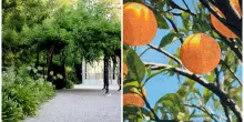 L&rsquo;arte nascosta nei giardini segreti di Venezia: da Flora Fantastica al Redentore, il filo verde della Biennale 2026