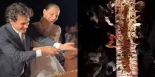 Basta panna e multipiano, arriva il tiramis&ugrave; lungo metri: &egrave; questo il nuovo trend per la torta di matrimonio, il video virale