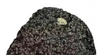 Il mistero del meteorite caduto nel Sahara: &ldquo;E&rsquo; la prova di un pianeta scomparso pi&ugrave; grande della Luna, chiss&agrave; quanti altri pianeti ci sono di cui non siamo a conoscenza&rdquo;