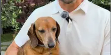 La pip&igrave; del cane lavata con l&rsquo;acqua? Bassetti smonta le ordinanze dei Comuni: &ldquo;Non serve assolutamente a nulla&rdquo;