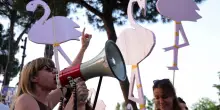 Deforestazione, cemento e la rivoluzione dei fenicotteri: dove sta andando l&rsquo;Albania?