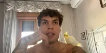 Blanco con il pappagallino sulla spalla si prepara per l&rsquo;esame di maturit&agrave; e torna sui libri &ndash; IL VIDEO