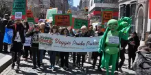 Veganismo e teoria queer sono compagni di strada: i diritti sono di tutt* o restano privilegi