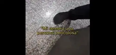 Docente e attivista di Extinction Rebellion fermata e perquisita in aeroporto per tre volte in pochi mesi. &ldquo;Ma non ho precedenti&rdquo;