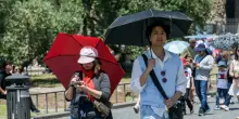 Ombrellini anti-UV contro caldo e sole, servono davvero? L&rsquo;allarme degli esperti: &ldquo;Non bastano: i raggi si riflettono su sabbia, acqua e cemento&rdquo;