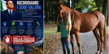 Caccia, Nicole Berlusconi si schiera contro la riforma. L&rsquo;appello a Forza Italia: &ldquo;Votate contro&rdquo;. Malumori di Pichetto e dei senatori azzurri sul ddl