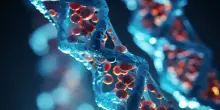 Una nuova molecola rende i tumori pi&ugrave; vulnerabili a radio e chemioterapia: &ldquo;Cos&igrave; si possono ridurre le dosi&rdquo;