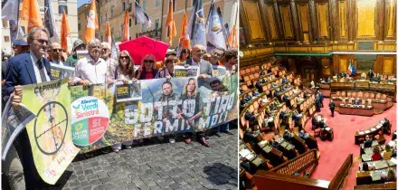 Caccia, approvato in Senato il ddl &ldquo;sparatutto&rdquo;. Conte: &ldquo;Va contro la Costituzione&rdquo;. Bonelli: &ldquo;Meloni insegue mondo venatorio e armieri&rdquo;. In piazza ambientalisti e animalisti