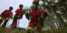 &ldquo;Forest &ndash; Il futuro ha radici antiche&rdquo;, il doc che racconta il lavoro forestale: da Vaia al bostrico, una riflessione sul nostro futuro