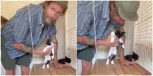 &ldquo;Questi gattini mitici sono stati abbandonati in strada. Se c&rsquo;&egrave; qualche anima gentile che ha voglia di occuparsene. Non abbandonate gli animali&rdquo;: l&rsquo;appello di Jovanotti &ndash; IL VIDEO