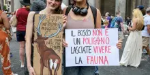 Ddl Caccia, null&rsquo;altro se non una marchetta al mondo venatorio