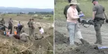117 cani morti sono stati trovati vicino a un rifugio per animali nella California: &ldquo;Le carcasse presentavano segni compatibili con colpi d&rsquo;arma da fuoco&rdquo;