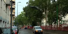 Divanetto sui fili del bus, tendoni sradicati e alberi caduti: le immagini del forte temporale che ha colpito Milano