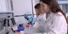 Cancro, oltre 1 milione di euro per i &ldquo;robot biologici&rdquo;: batteri progettati per viaggiare nel corpo umano e scovare i tumori