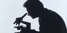Malattie rare, 30 milioni per trasformare la speranza in terapia: la ricerca europea guidata da Telethon accende nuove possibilit&agrave;