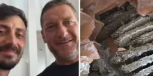 Nido di oltre 2mila vespe germaniche nella casa di Francesco Totti e Noemi Bocchi: il sopralluogo del disinfestatore e la rimozione della colonia