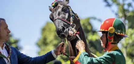 Al Palio di Siena trionfa la contrada dell&rsquo;Aquila dopo 34 anni: l&rsquo;ultima vittoria nel 1992