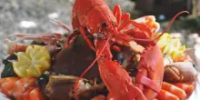 &ldquo;L&rsquo;aragosta sa di terra&rdquo;: si lamentano del piatto, rifiutano lo sconto e lasciano il ristorante senza pagare il conto