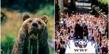&ldquo;La sfida del WWF oggi &egrave; il clima. Ma sulla tutela della natura stiamo facendo passi indietro. Il ddl caccia? Allucinante&rdquo;