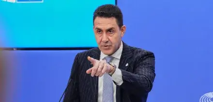 Il Parlamento europeo chiede di indagare sul partito di estrema destra Esn di cui fa parte Vannacci: verifiche sull&rdquo;aderenza ai valori Ue&rdquo;