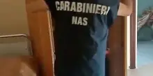 Circoncisione clandestina sul tavolo della cucina: neonato ferito, denunciato un cardiologo a Brescia