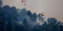 La caduta di un cavo elettrico e la vegetazione secca per il caldo estremo tra le cause dell&rsquo;incendio in Andalusia