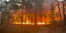 Brucia la foresta di Fontainebleau: il rogo &ldquo;eccezionale&rdquo; alle porte di Parigi &ndash; Video