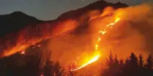 Gli alleati degli incendi: oltre al clima, il vuoto dopo l&rsquo;abbandono dei campi. L&rsquo;esperto: &ldquo;Il fuoco gestisce i nostri boschi&rdquo;