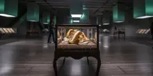Firenze, nel museo si rompe l&rsquo;impianto d&rsquo;aria condizionata e le cere anatomiche rischiano di sciogliersi: opere spostate e visite sospese