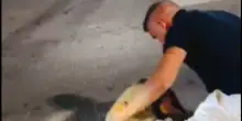 Il militante di Vannacci picchia un uomo e posta il video sui social: &ldquo;Io tranquillo, ma bloccava il traffico senza motivo&rdquo;