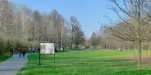 La Pedemontana lombarda minaccia il bosco simbolo del disastro di Seveso. La societ&agrave;: &ldquo;Tutte le norme rispettate&rdquo;. Gli attivisti: &ldquo;Devastazione ambientale&rdquo;