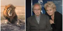 &ldquo;Mio marito Michelangelo Antonioni si &egrave; reincarnato in un leone, l&rsquo;ho ritrovato in Maremma. L&rsquo;ho chiamato Mihal, ha lo stesso sguardo magnetico: parliamo con gli occhi come ho fatto per 22 anni con lui dopo l&rsquo;ictus&rdquo;