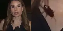 Un enorme scarafaggio le cammina sul collo mentre &egrave; in diretta: la giornalista resta impassibile davanti alle telecamere, poi la reazione sorprende tutti