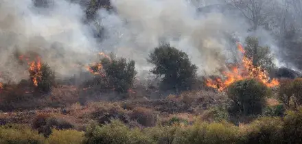 Incendi boschivi, in Italia gi&agrave; andati in fumo oltre 13mila campi da calcio: aumento del 36% nel 2026 | Il rapporto di Legambiente