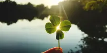 &ldquo;Dopo la morte di mio padre ho trovato sempre un quadrifoglio al giorno, sono a oltre 1.091 giorni consecutivi, c&rsquo;era una possibilit&agrave; su 10 mila che accadesse. Questo miracolo per me &egrave; un segno&rdquo;: la storia di Walter Jenkins Jr