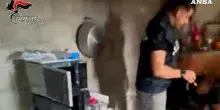 Scoperto laboratorio clandestino di cocaina in Aspromonte: la base in un rudere isolato &ndash; Video