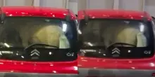 &ldquo;Com&rsquo;&egrave; possibile che nessuno abbia fermato quel veicolo prima dell&rsquo;imbarco?&rdquo;: pony chiuso nel bagagliaio di un&rsquo;auto sul traghetto per Ischia