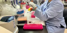 Svelato come il virus dell&rsquo;influenza &ldquo;riprogramma&rdquo; le cellule infettate. Lo studio su Nature