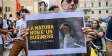 The new Italian hunting bill and the interests of a few