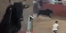 Toro riesce a raggiungere gli spalti e scatena il caos tra la folla: attimi di terrore alla Corrida di Castilla