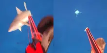 &ldquo;Posto sbagliato, momento sbagliato: non ho nessun rancore verso lo squalo&rdquo;: viene attaccato mentre pesca in apnea, il video impressionante dell&rsquo;aggressione