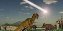 &ldquo;Non &egrave; stato un asteroide a far estinguere i dinosauri, ma una coltre di polvere che fece l&rsquo;effetto forno &lsquo;arrostendo&rsquo; la Terra&rdquo;: i nuovi studi riscrivono la Storia