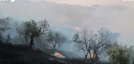 Incendi in Grecia, 8mila persone evacuate durante la notte a Creta: &ldquo;Situazione fuori controllo&rdquo;