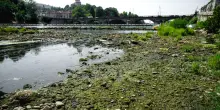 Criticit&agrave; alta per la siccit&agrave; nel bacino del Po: possibili disagi per le forniture di acqua potabile