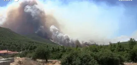 La Grecia continua a bruciare, incendi alle porte di Atene: situazione critica per il forte vento &ndash; Video