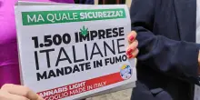 Cannabis light, il Cbd &egrave; una droga? Il Consiglio di Stato rinvia la decisione alla Corte di Giustizia Ue: in ballo 30mila lavoratori