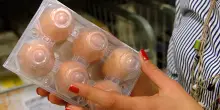 Ancora uova fresche a rischio salmonella: ritirato un lotto venduto nei supermercati Eurospin